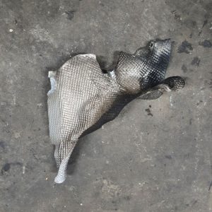 лівий тепловий екран