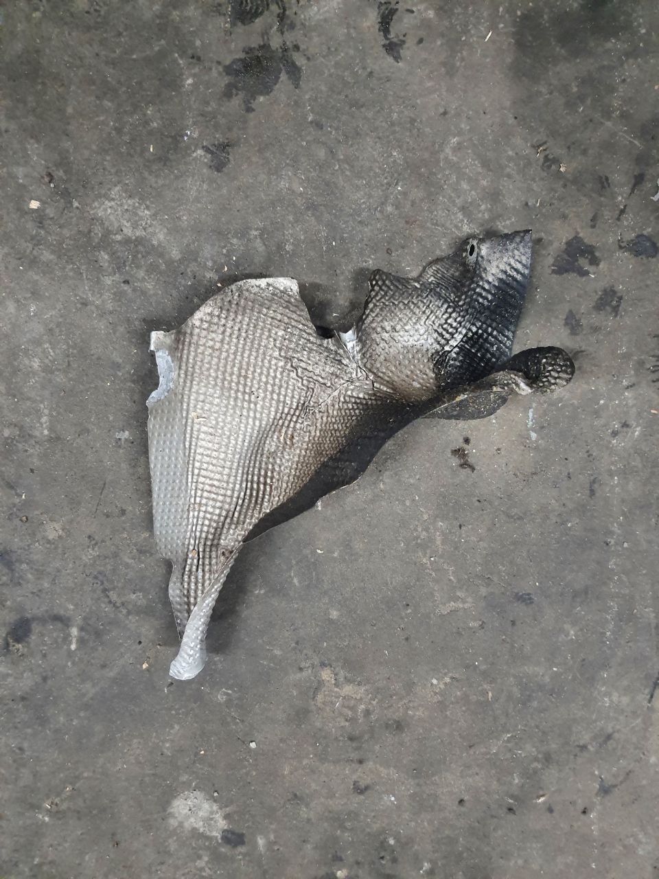 лівий тепловий екран