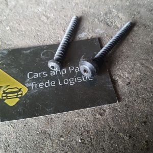 Задній болт кріплення дверной карти