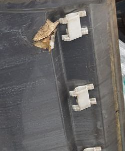 клипса молдинга Range Rover L322